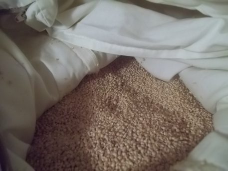 Organic Millet Hulls inside Pillow